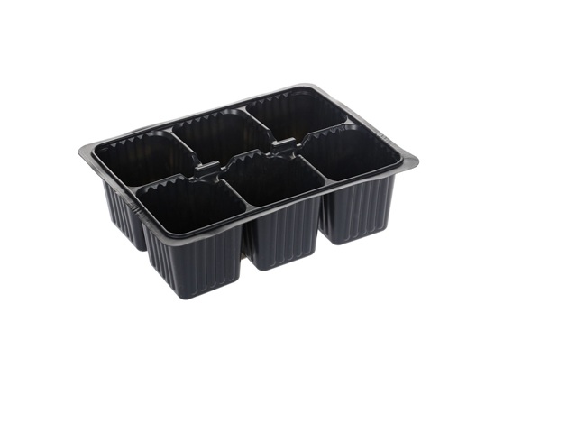 Кассета МИНИ для рассады 6 ячеек V170мл 17,8х13х5см (термоформовка)