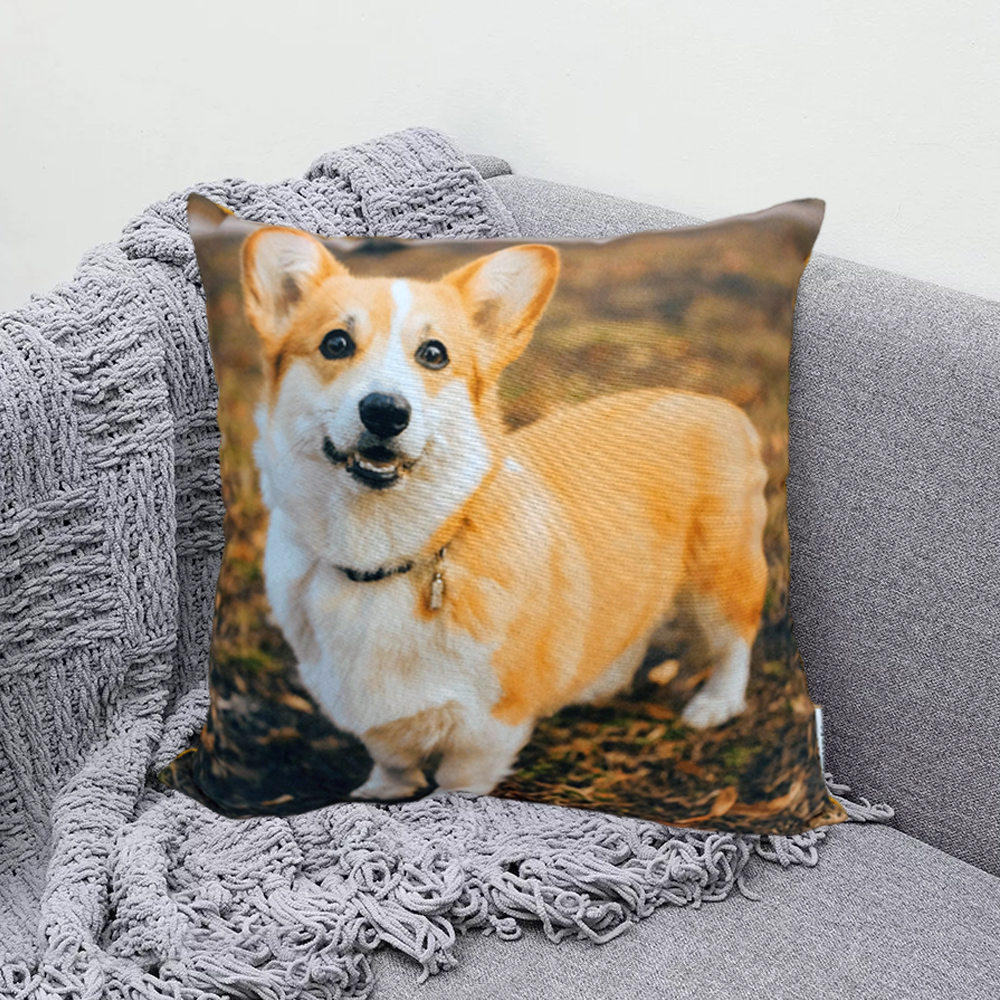 Подушка 40*40 ДомВелл габардин, поплин Корги