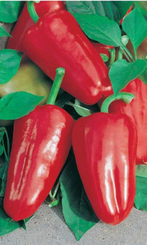 Семена Перец сладкий Ласточка  "Уральский Дачник" б/п