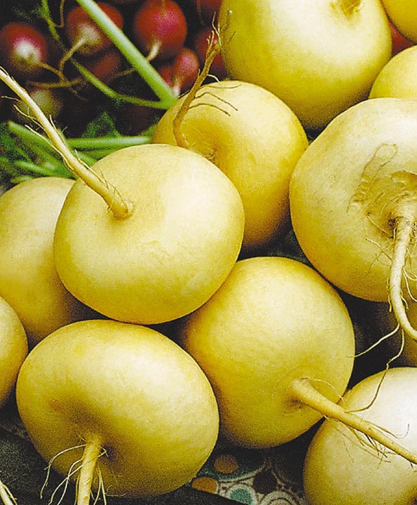 Семена Репа Петровская 1 "Уральский Дачник" б/п