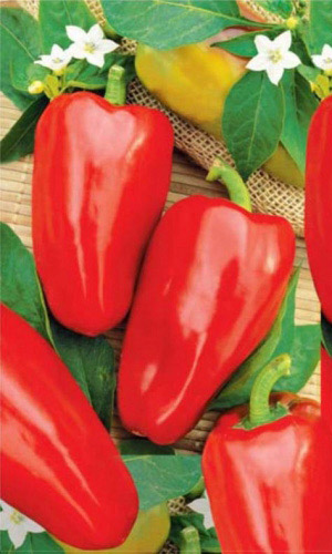 Семена Перец сладкий Нежность "Уральский Дачник" б/п