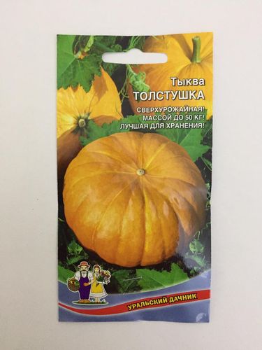 Семена Тыква Веселая Толстушка "Уральский Дачник" ц/п