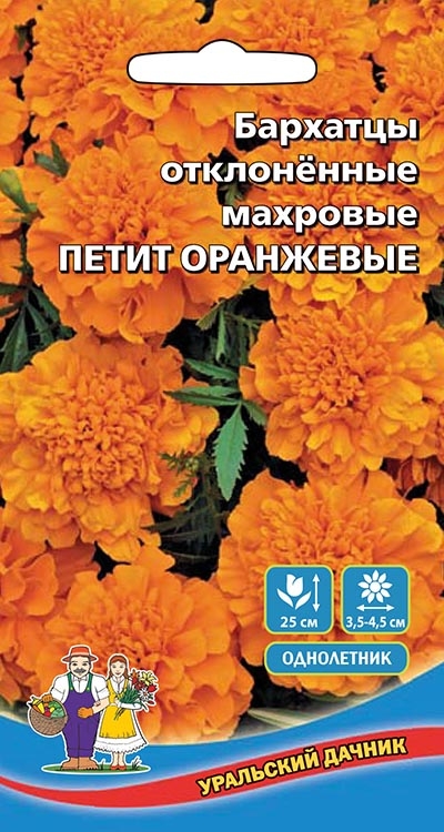 Семена Цветы Бархатцы отклоненные Петит оранжевые"Уральский Дачник" ц/п