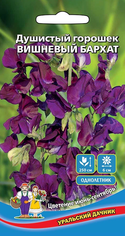 Семена Цветы Душистый горошек Вишневый бархат "Уральский Дачник" ц/п