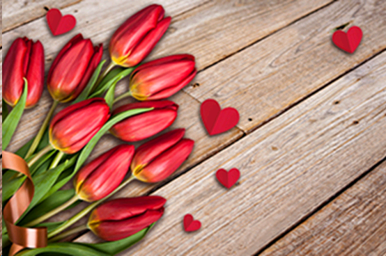 Блюдо прямоугольное 23x14см S322314 DD436 GREY 709803 цветная коробка