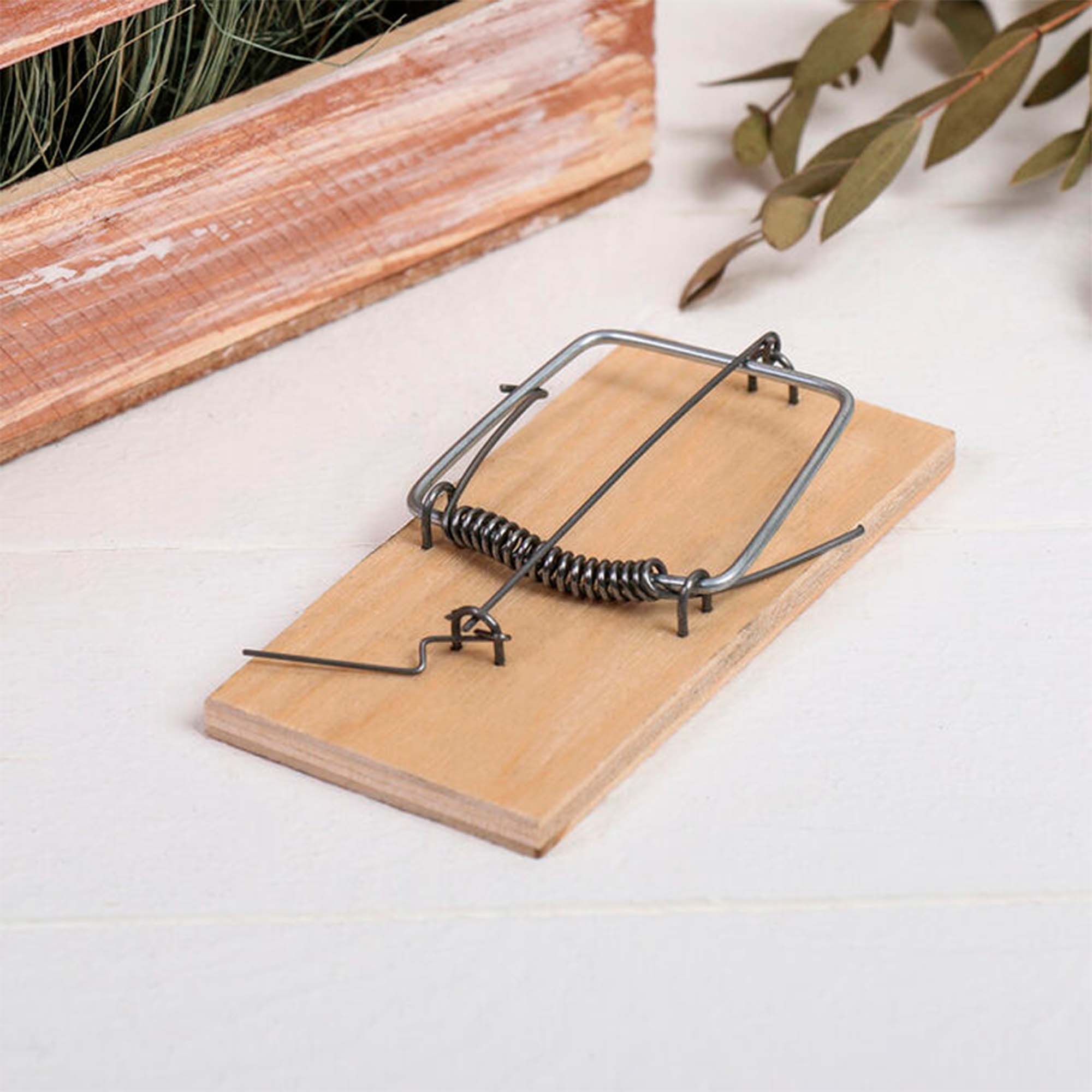 Мышеловка, дерево 10х4,5х0,6 см 2 шт в уп  HELP  