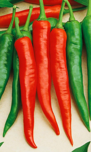 Семена Перец острый Язык дракона "Уральский Дачник" ц/п