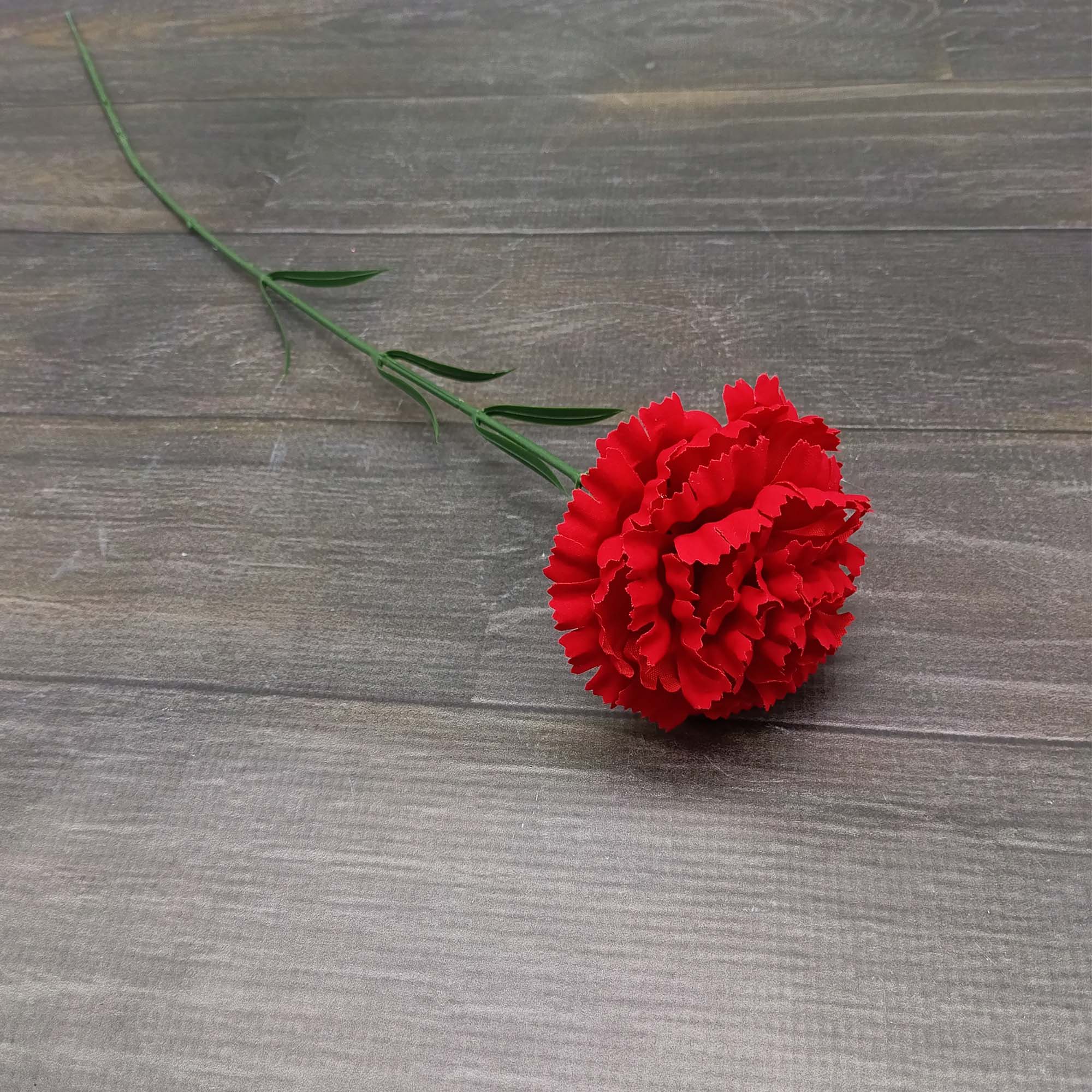 Гвоздика красная бархатная