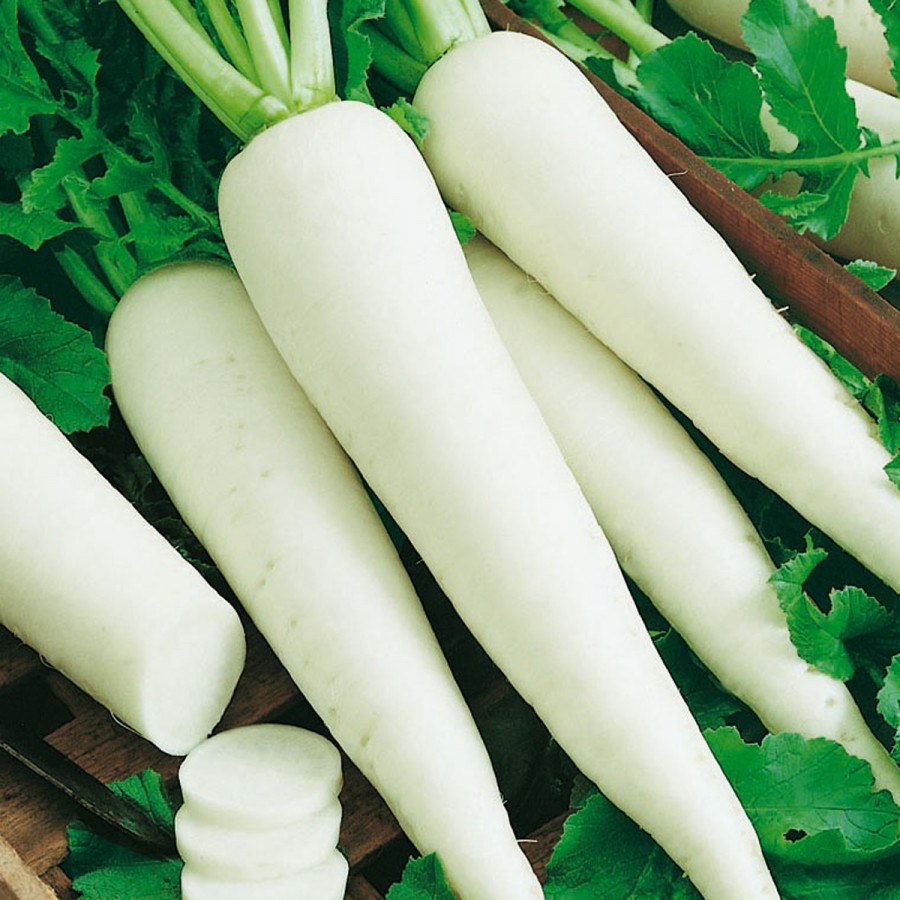 Семена Дайкон Миноваси  РС "Уральский Дачник" б/п