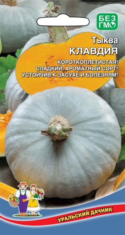 Семена Тыква Клавдия "Уральский Дачник" ц/п