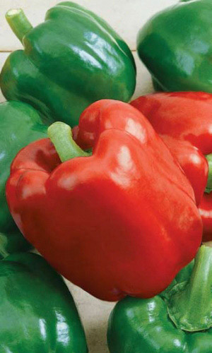 Семена Перец сладкий Геракл  "Уральский Дачник" б/п