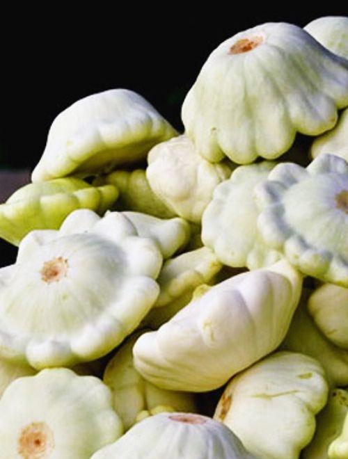 Семена Патиссон Пятачок (ЦВ*) 12шт. "Поиск" ц/п