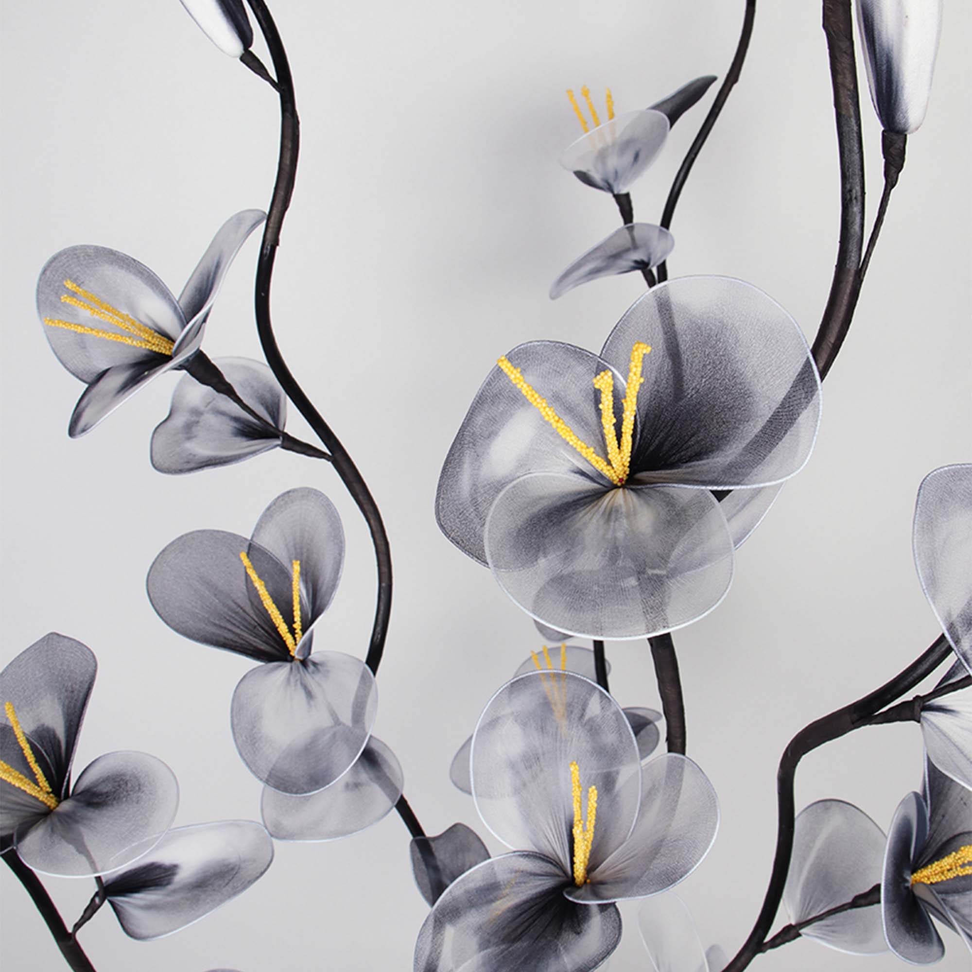 Сухоцвет набор 5 штук 155см капрон A-69-BL черный