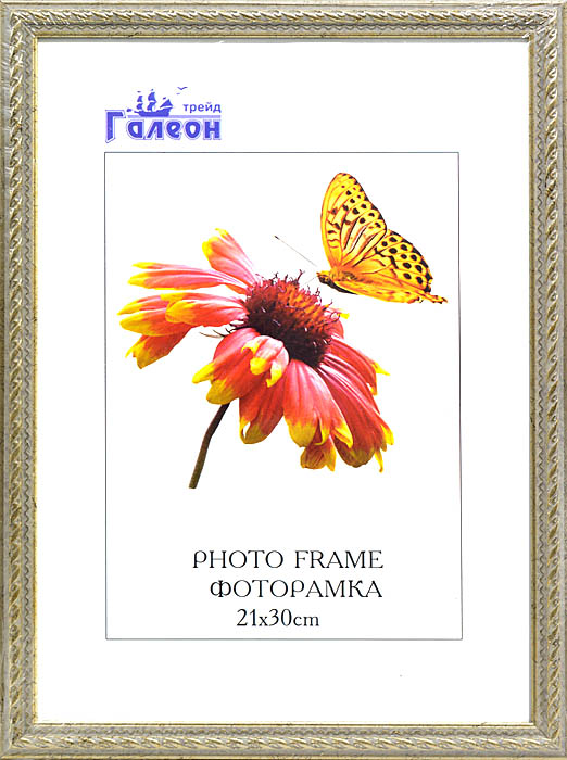 Фоторамка 21х30 1606C-A10