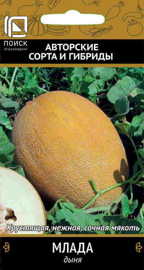Семена Дыня Млада (А) (ЦВ) 15шт. "Поиск" ц/п