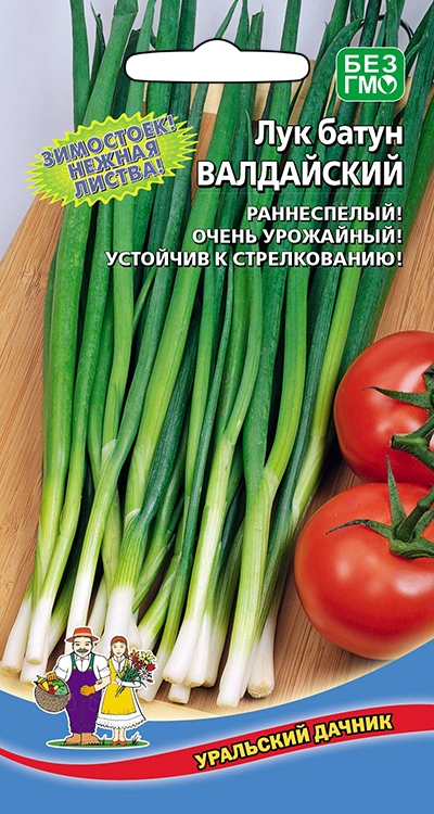 Семена Лук батун Валдай "Уральский Дачник" ц/п