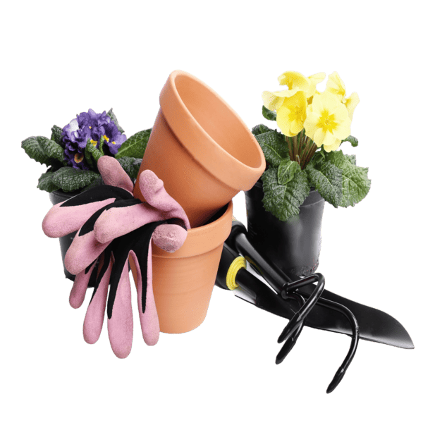 ДАЧА. САД. ОГОРОД