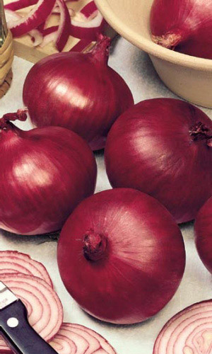 Семена Лук репчатый Ред Барон "Уральский Дачник" б/п