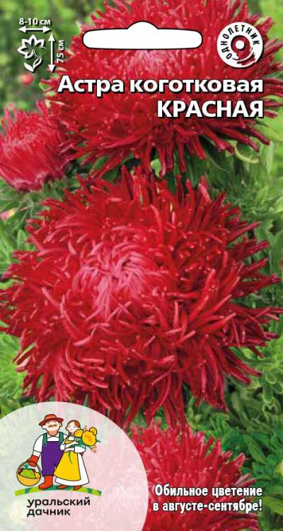 Семена Цветы Астра коготковая Красная "Уральский Дачник" ц/п