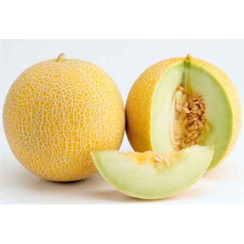 Семена Дыня Ранняя 133 "Уральский Дачник" б/п