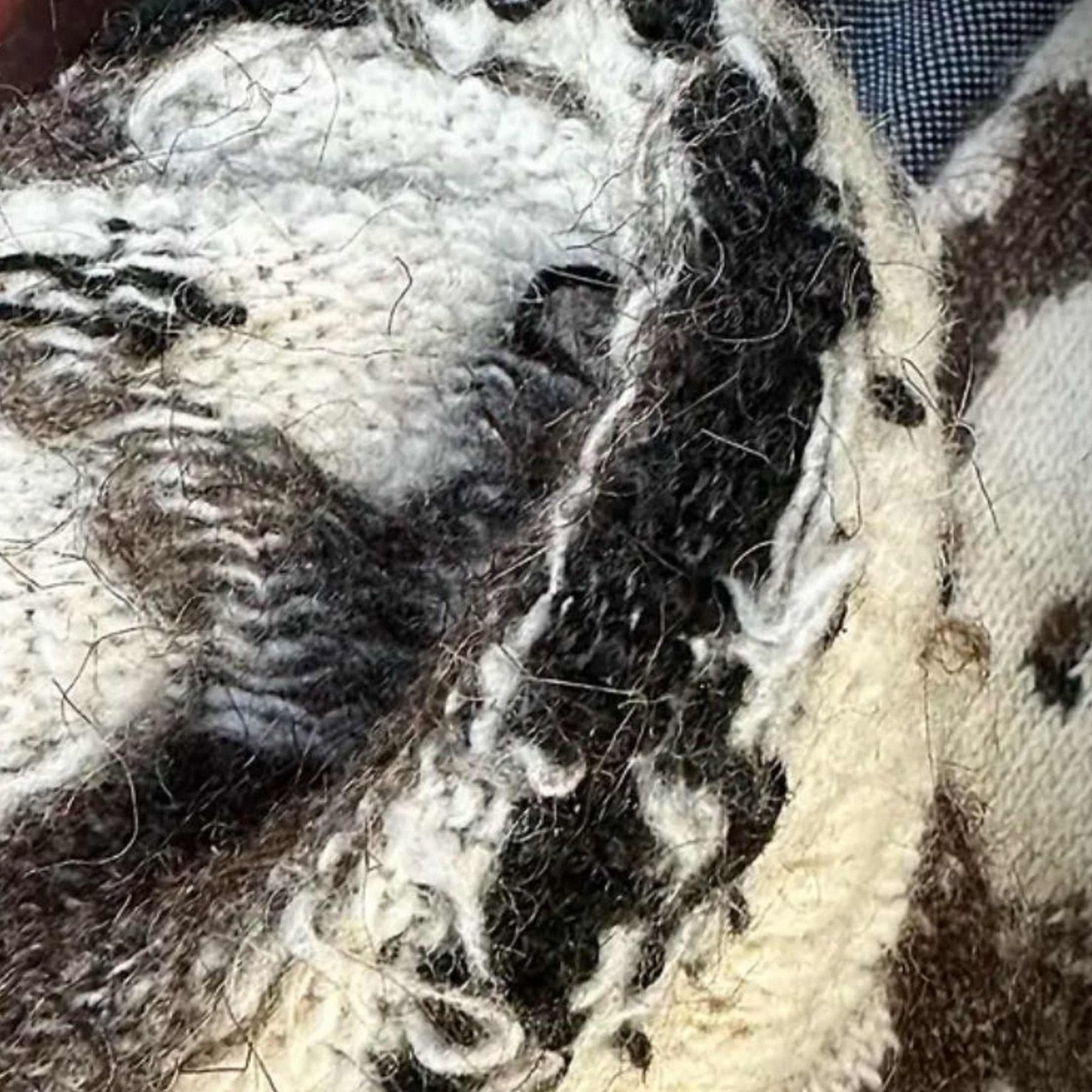 Носки мужские р. 41-47 шерсть, Охота, Рыбалка