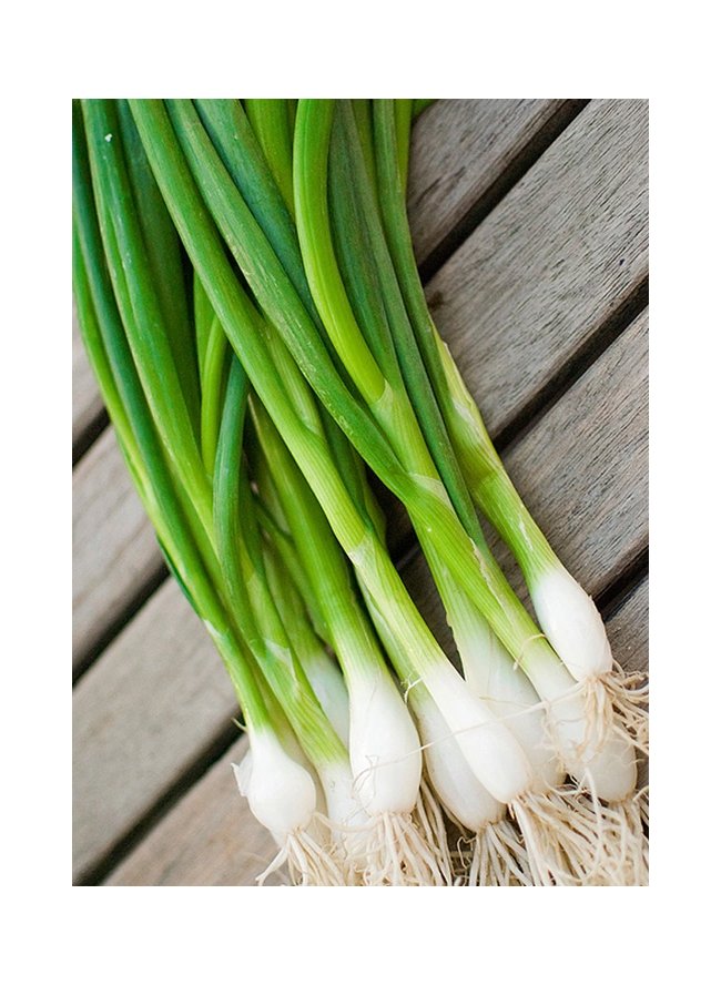 Семена Лук батун Апрельский Р "Уральский Дачник" б/п