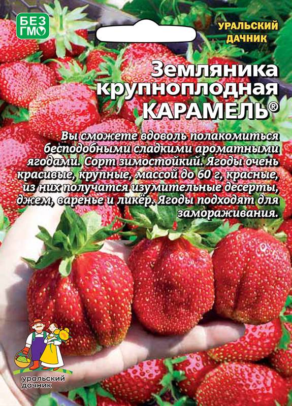 Семена Земляника Карамель - крупноплодная Б/Ф "Уральский Дачник" ц/п