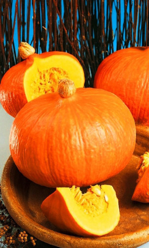 Семена Тыква Лесной орех "Уральский Дачник" б/п