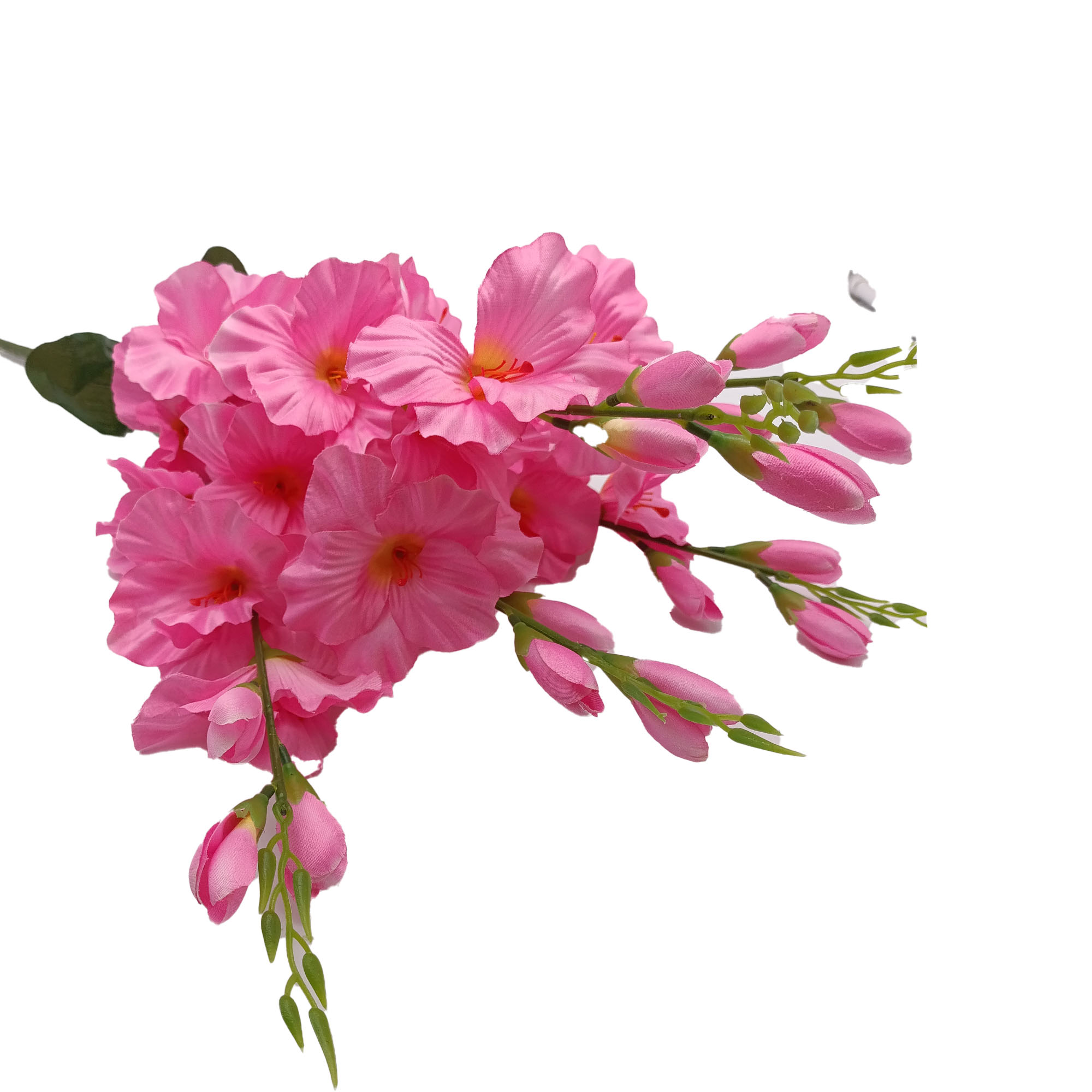 Букет Гладиолус