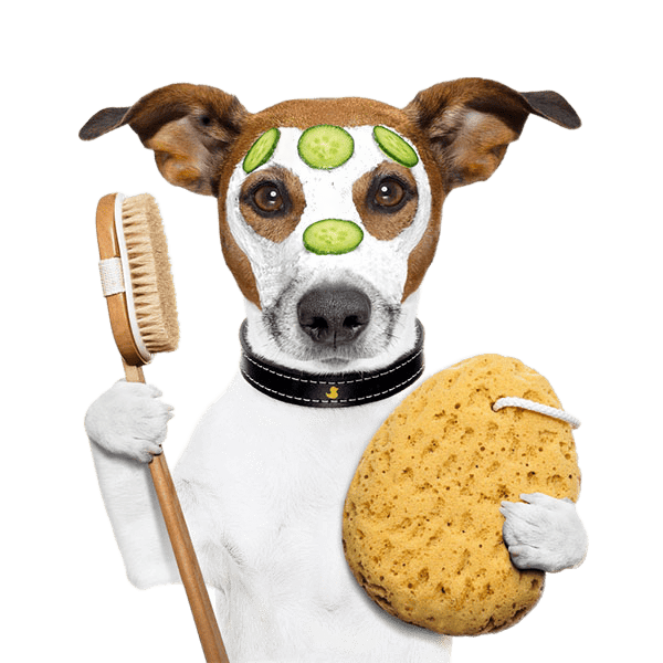 ТОВАРЫ ДЛЯ ЖИВОТНЫХ