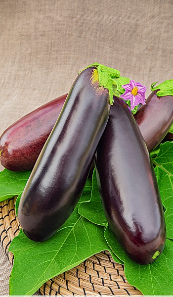 Семена Баклажан Мулатка "Уральский Дачник" б/п