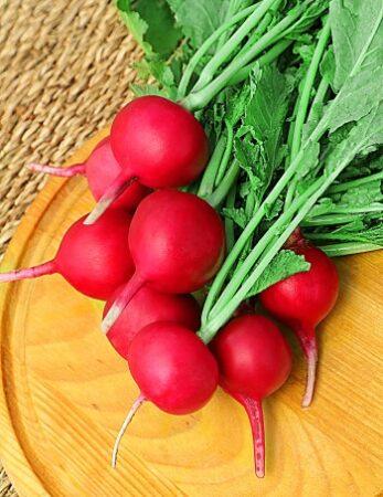 Семена Редис Сакса  РС "Уральский Дачник" б/п