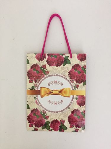 Пакет подарочный ламинированный 18х24х7 (12видов) РД91550