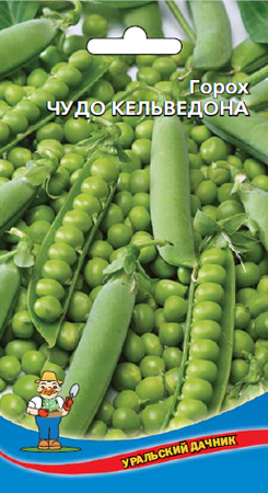 Семена Горох Чудо кельвидона (раннеспелый сахарный сорт) "Уральский Дачник" ц/п