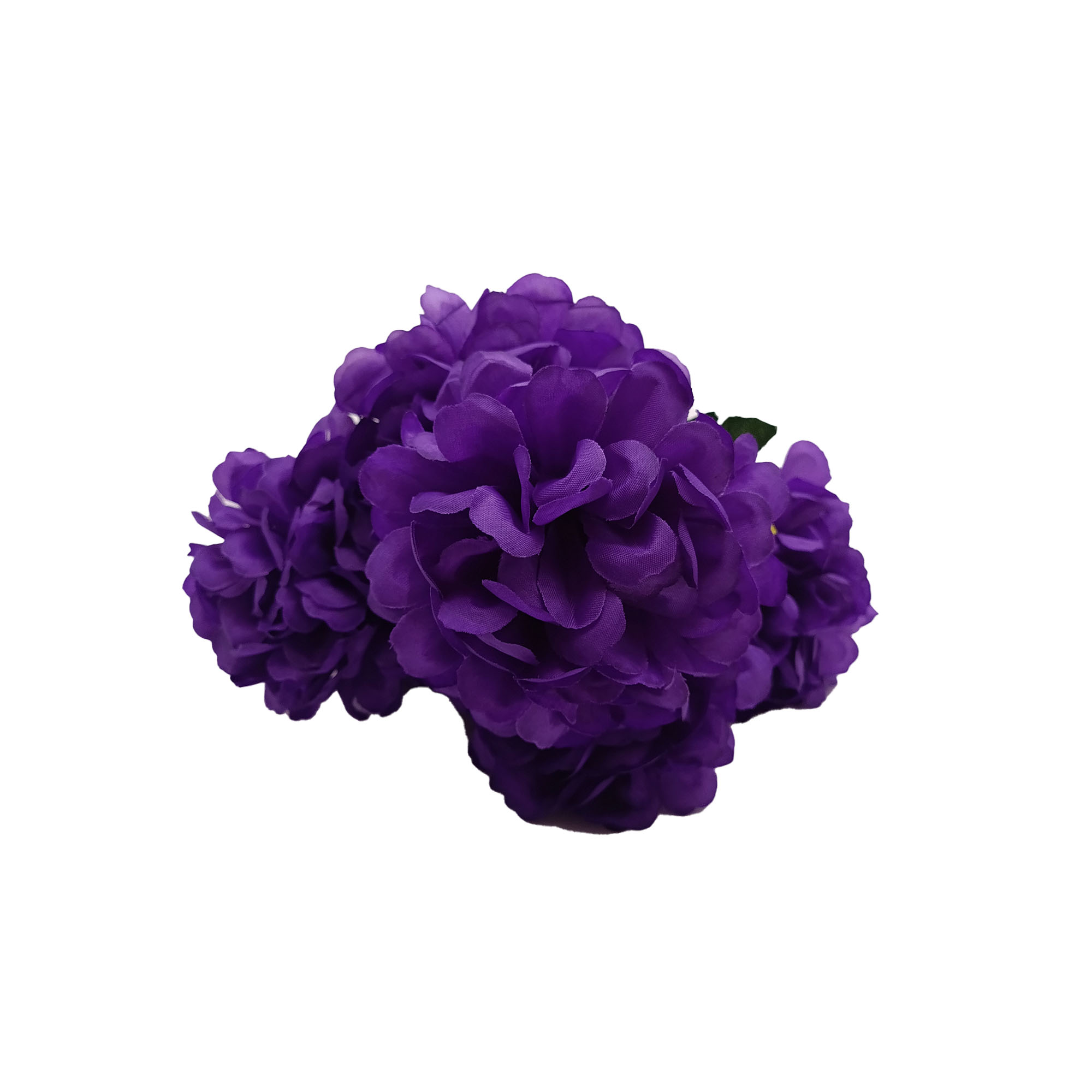 Букет Герань 6 голов