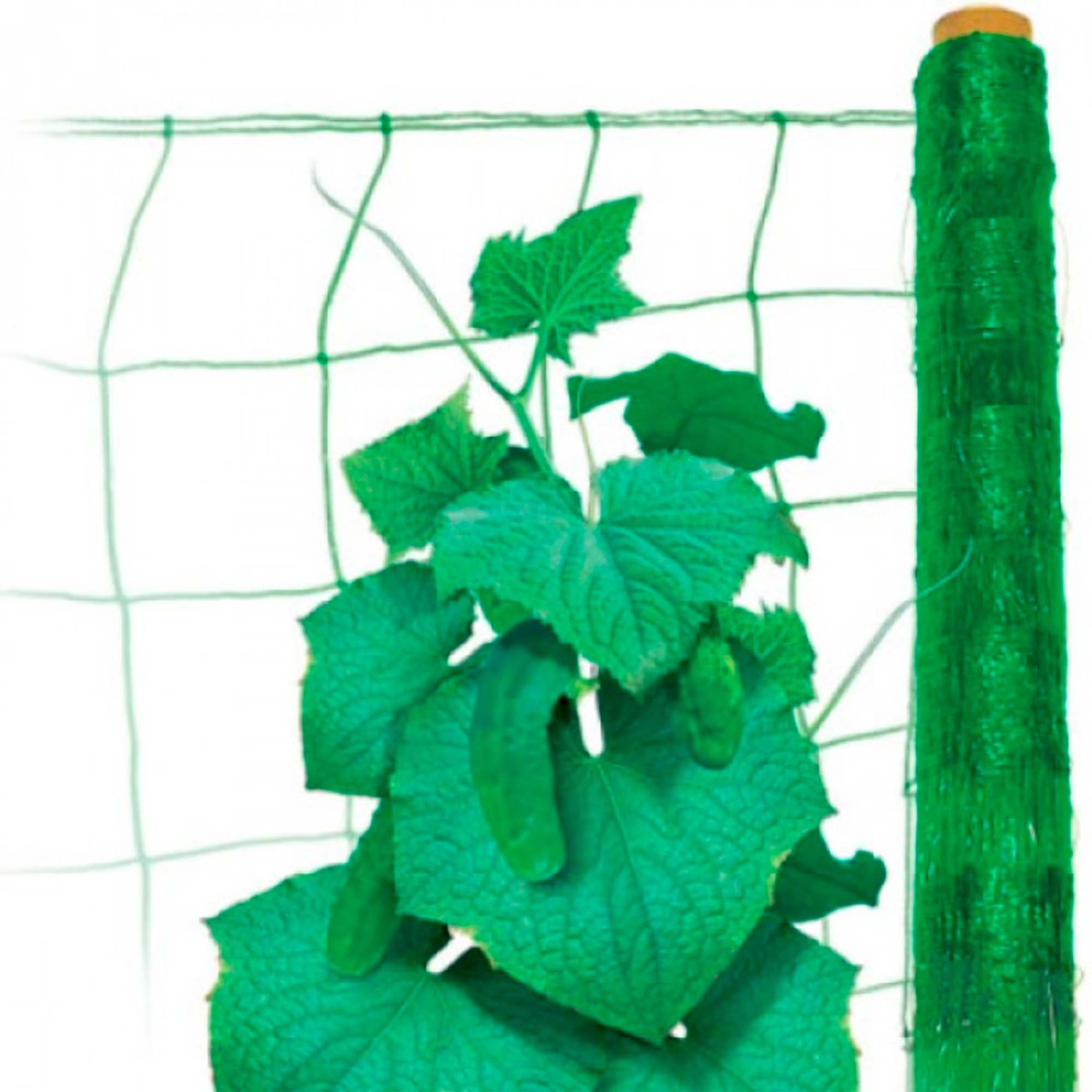 Сетка огуречная для вьющихся и декоративных растений фасованная 17х17 (2х5)