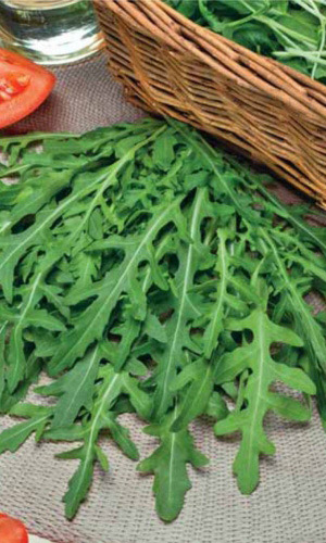 Семена Салат Руккола (Индау) Бутербродная "Уральский Дачник" б/п