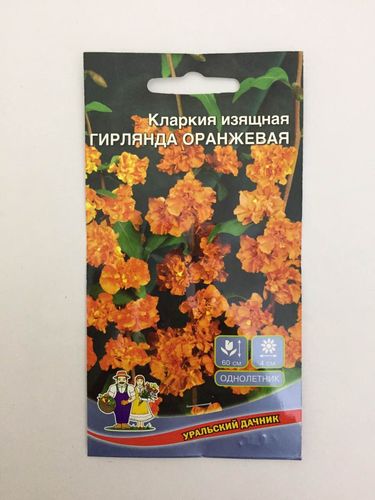 Семена Цветы Кларкия Гирлянда Оранжевая "Уральский Дачник" ц/п