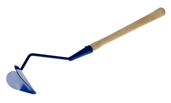 бороздовичок с черенком 4683