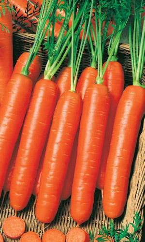 Семена Морковь Нантская 4 "Уральский Дачник" ц/п