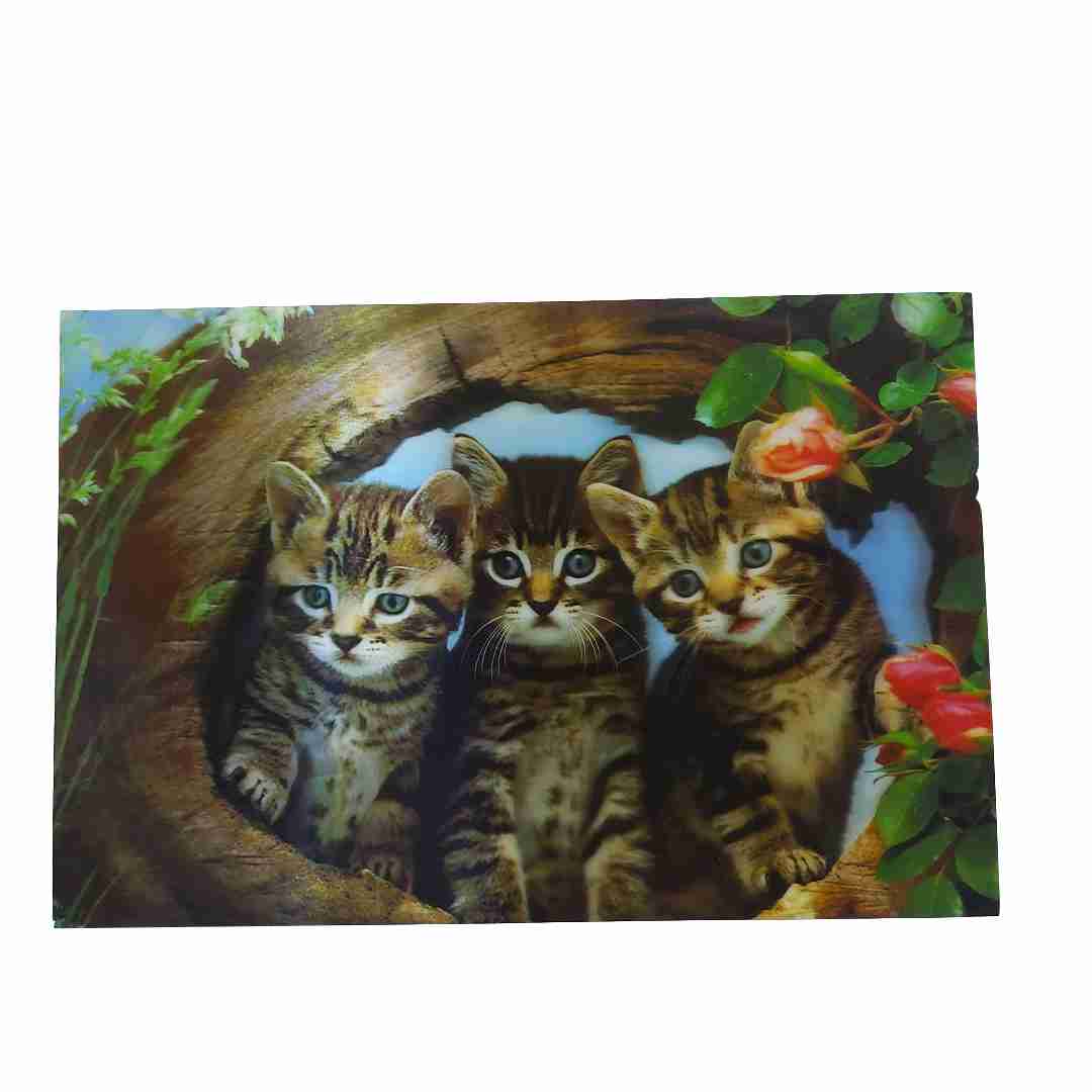 Термоскатерть картина 3Д 38х58 РД56689