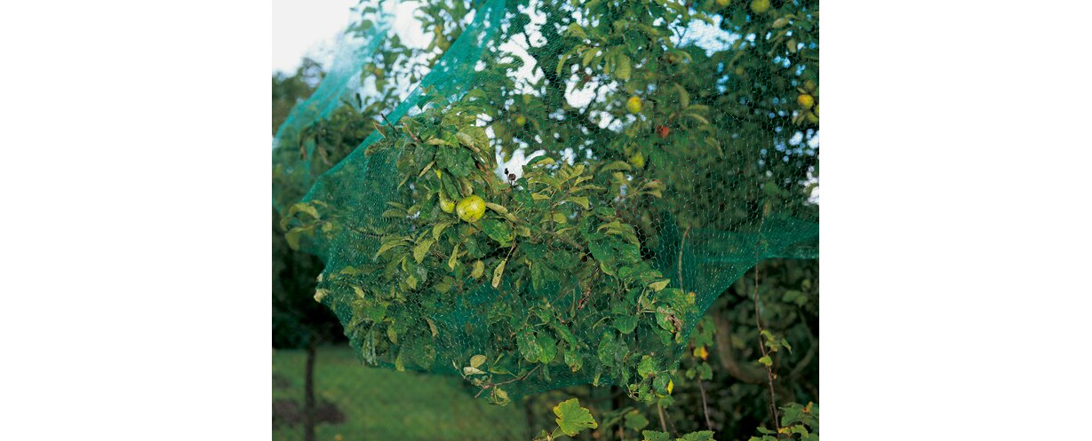 Сетка от птиц 2х5м 7х7