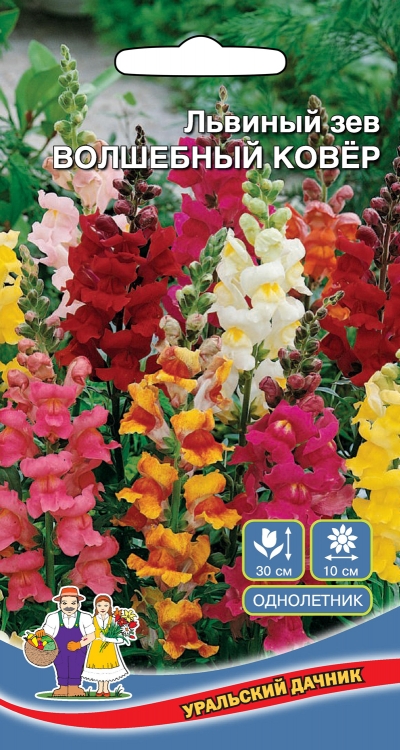 Семена Цветы Львиный Зев Волшебный Ковер "Уральский Дачник" ц/п