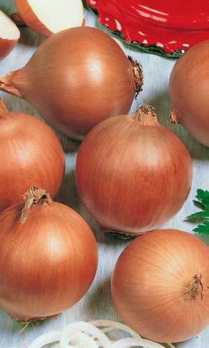 Семена Лук репчатый Стригуновский Местный "Уральский Дачник" б/п