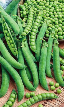 Семена Горох Амброзия 10г "Уральский Дачник" ц/п