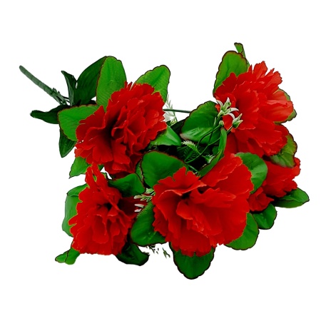 Букет Гвоздика 6 голов №110