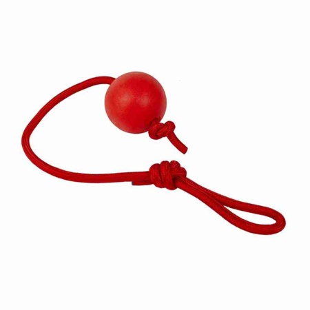 Игрушка для собак Мяч на веревке ТТ54142