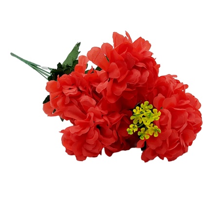 Букет Герань 6 голов