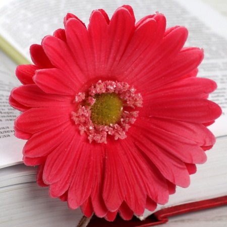 Цветок искусственный Гербера 43см малиновый / 1501 латэкс