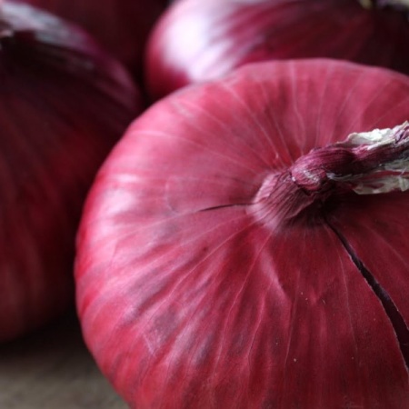 Семена Лук репчатый Даниловский 301 (ЧБ) 1гр. "Поиск" б/п